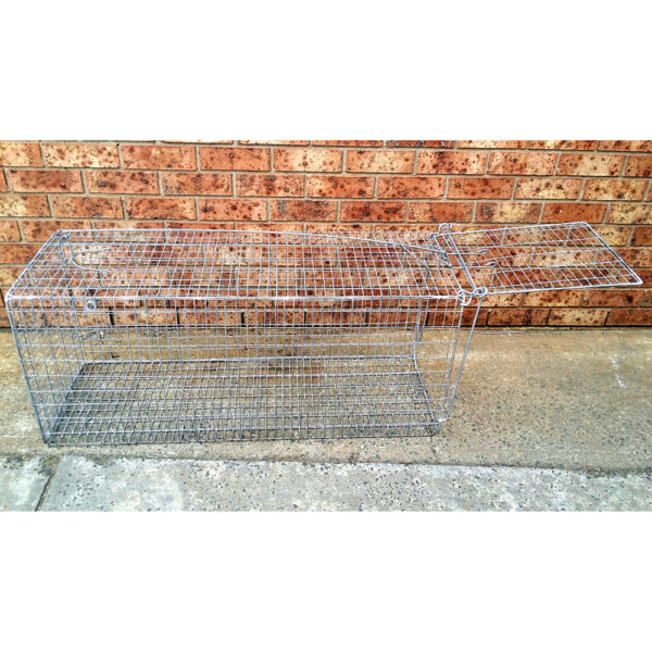 animal traps wire fox or possum trap