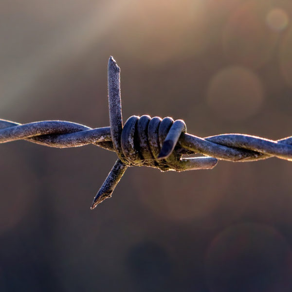 barb wire or barbed wire