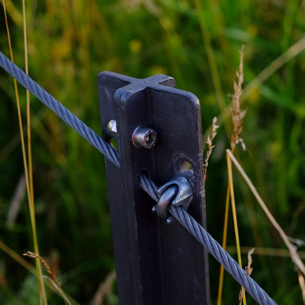 Fence Posts