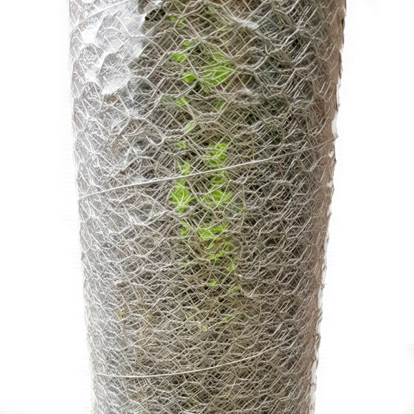 Chicken Wire, 12.5mm Opening on a 30 Metre Roll